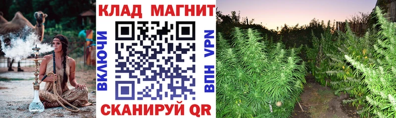 Наркошоп купить Бошки Шишки  Cocaine  Галлюциногенные грибы  Мефедрон  Бутират  АМФ  Камышлов