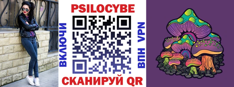 Купить закладки  Камышлов  Псилоцибиновые грибы мухоморы 