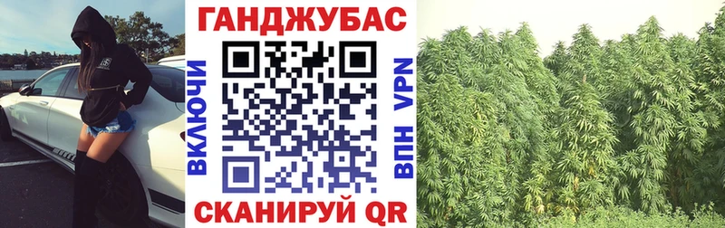 Бошки Шишки марихуана Камышлов